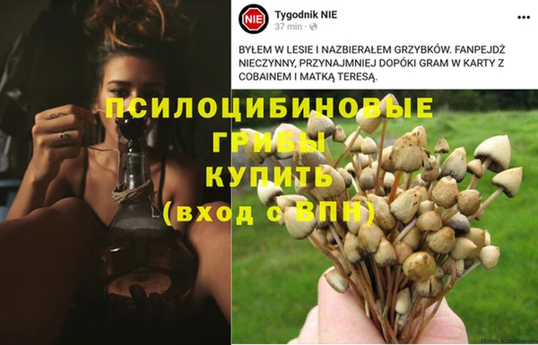 прущий лед Артём