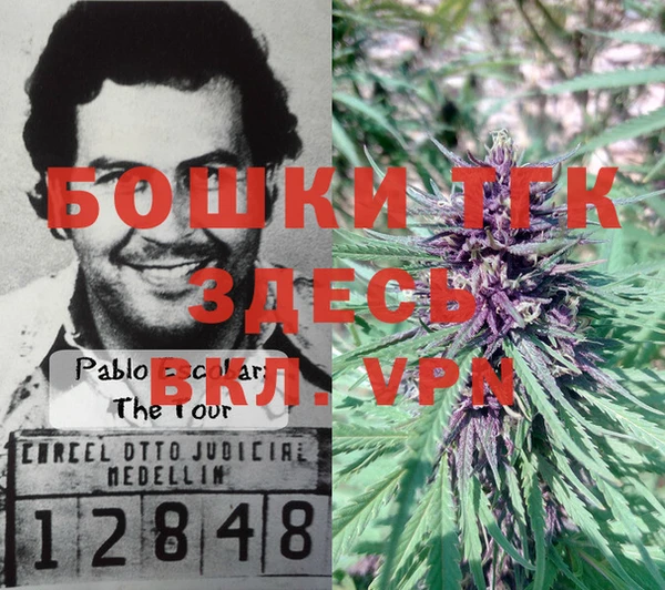 мяу мяу мука Нея