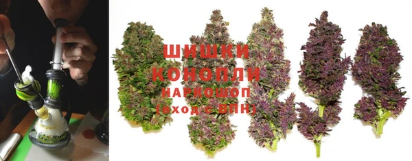мяу мяу мука Нея